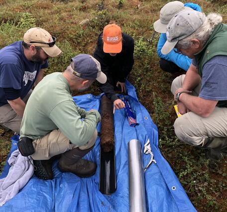 group of scientists look at a freshly extracted peat core