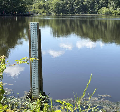 A staff gage at Echol Lake, Virginia
