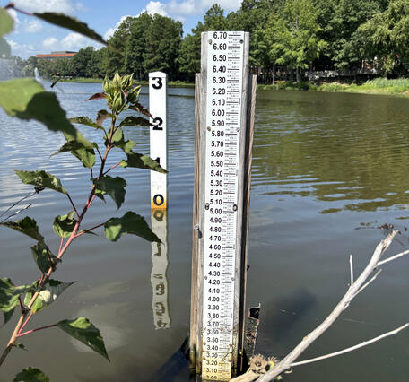 A staff gage for measuring peak water level in an urban lake in Virginia