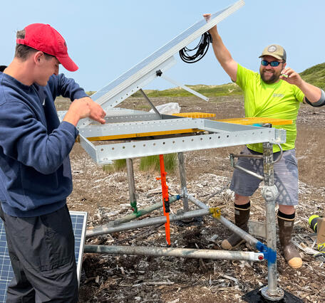 Two scientists working in a coastal wetland