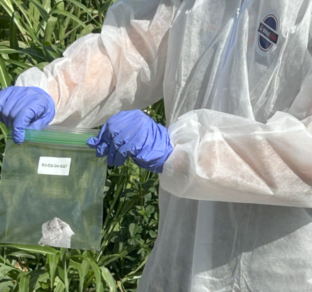 two gloved hands hold a small ziploc bag containing a paper towel. Person is dressed in white body suit. Plants in background