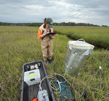 scientist working in a coastal wetland