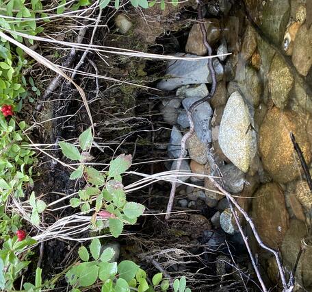 Erosion at Big Lake, Alaska