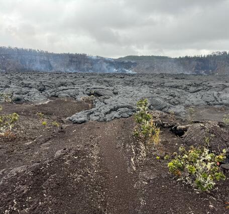 Color photograph of recent lava flows covering trail in tephra