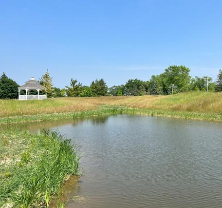 First year plantings of native wetland species surround main wetland pond with elevated outlet and outlet monitoring station