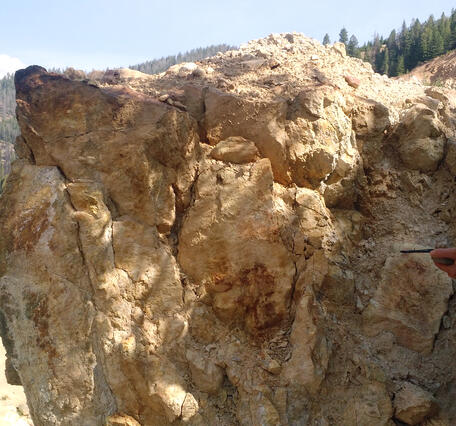 Geologist conducting field work within the Yellow Pine/Stibnite gold-antimony-tungsten mining area in central Idaho