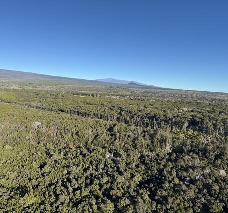 Color photograph of volcanic landscape