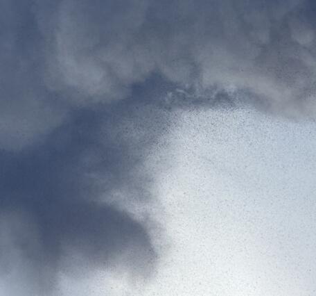 Color photograph of volcanic plume