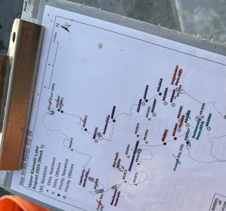 map of Sucker nets on Upper Klamath Lake