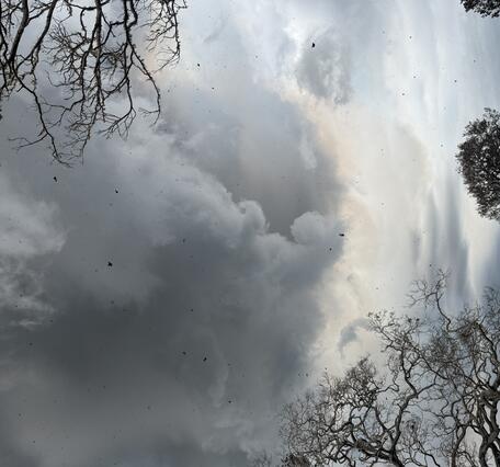 Color photograph of eruption plume with tephra falling