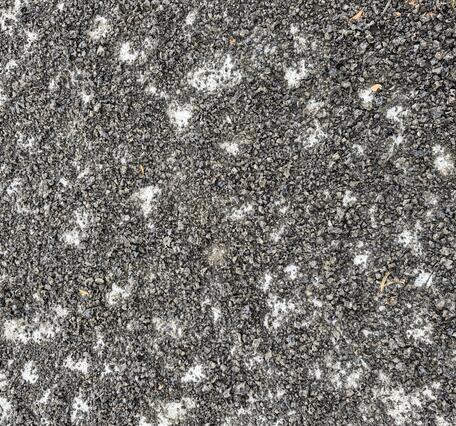 Color photograph of tephra covering paved ground surface