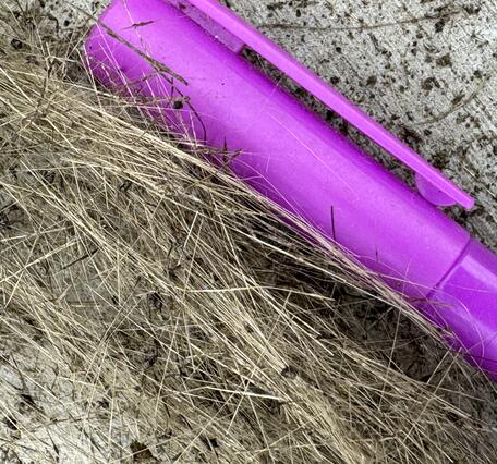 Color photograph of volcanic glass strands with pen cap for scale