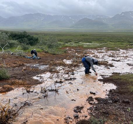 Two people sampling water from an orange creek.