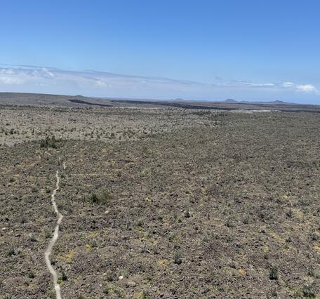 View of inactive vent and trail