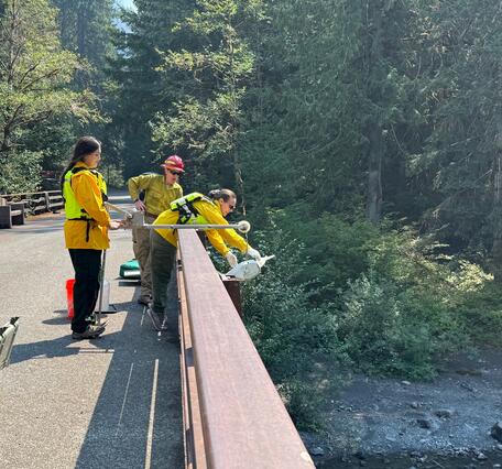 Scientists collect water sample from bridge