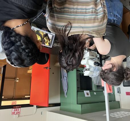 Color photograph of people looking at a laptop