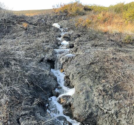 Brown vegetation and a small stream.