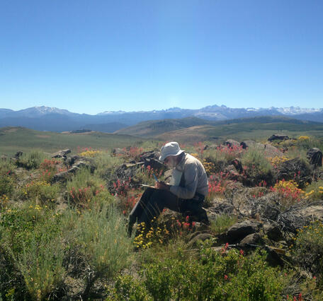 An older geologist with a white beard and wearing khakis and a fisherman's hat sits on a rock in the midst of red and orange wildflowers. In the distance, low rolling hills give way to craggy snow-capped mountains.