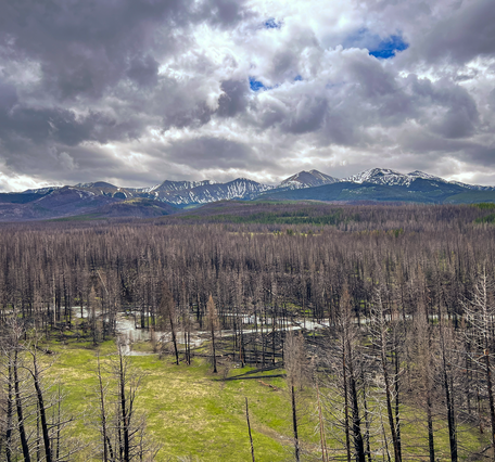 American Fork Fire Burn area with view of mountains in the background 