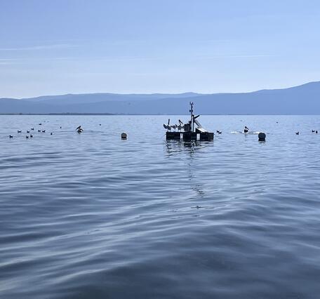 shaded silhouettes of birds resting on USGS platform housing water-quality instruments floating in blue waters