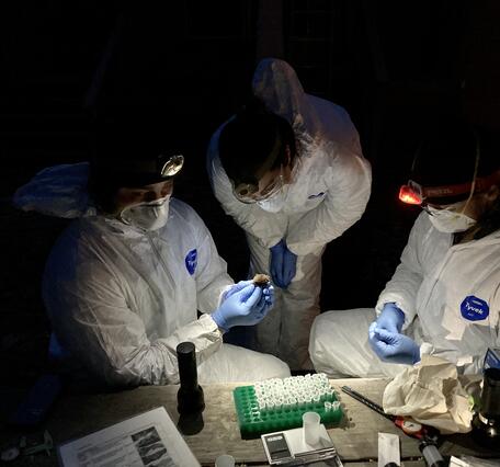 Three people wearing protective gear and headlamps light up a bat held in gloved hands.