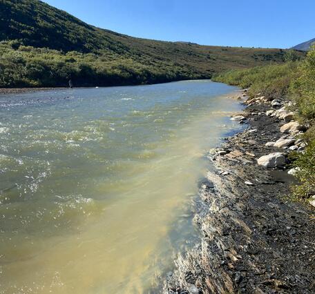 Faint orange creek running through green brush.