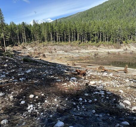 Photo of shoreline with debris showing tsunami-inundated area 