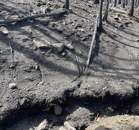 hillslope devoid of vegetation covered with dark soil, small boulders, and burned trees