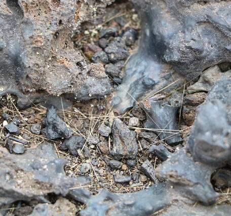 Strands of volcanic glass on the ground