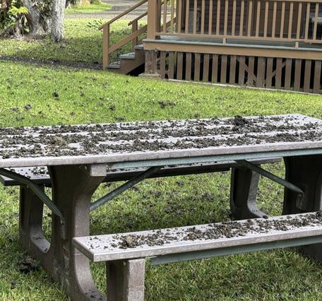 Color photograph of tephra covering a picnic table