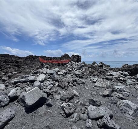 Color photograph of beach coastline
