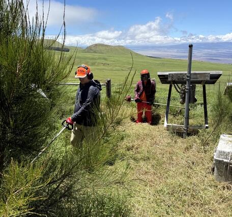 Color photograph of field engineers maintain grounds around volcano monitoring instrumentation