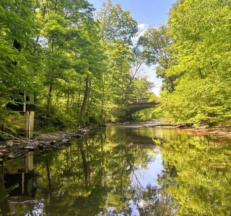 Looking upstream along a bright green treelined river towards a bridge in the distance.