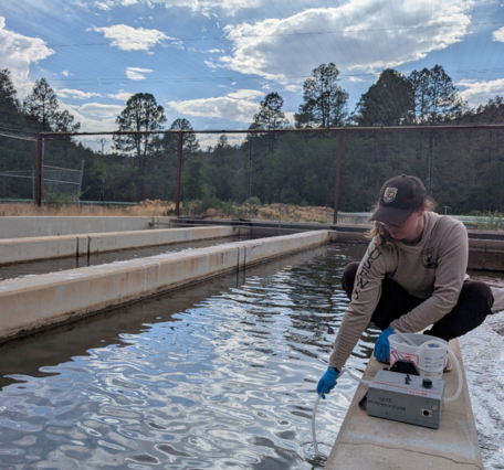 Researcher using a tube to collect water sample at a fish hatchery.