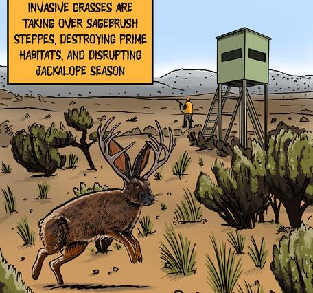  A desert landscape dotted with shrubs and grasses. In the foreground is a large rabbit-like creature with antlers. 