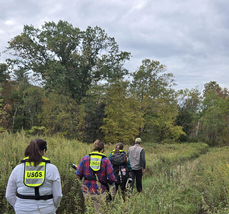 USGS staff walking through tall vegetation during acid mine drainage sampling in PA.