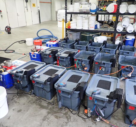 Blue rubber containers with black centers and multicolored wires connecting the containers sitting on a gray floor
