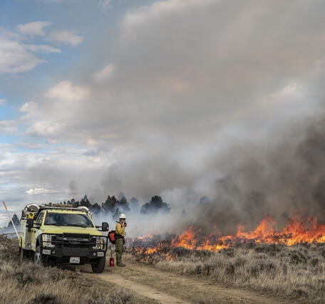 a man in fire uniform stands next to a yellow truck, around him, sagebrush habitat and grasses burn, smoke fills the air