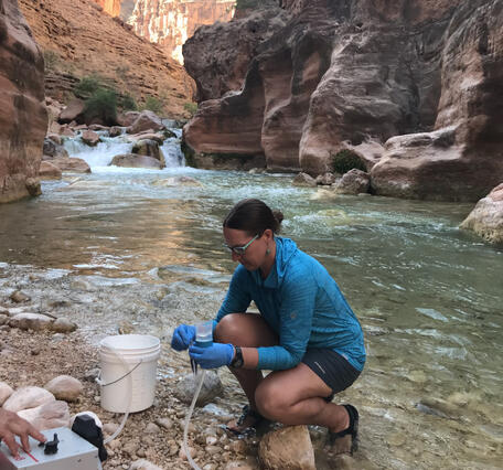 USGS scientist Kim Dibble handles eDNA equipment on the banks of Havasu Creek, Grand Canyon
