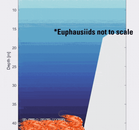 Animated GIF showing an illustration of zooplankton layers moving up and down the water column over a mesophotic reef