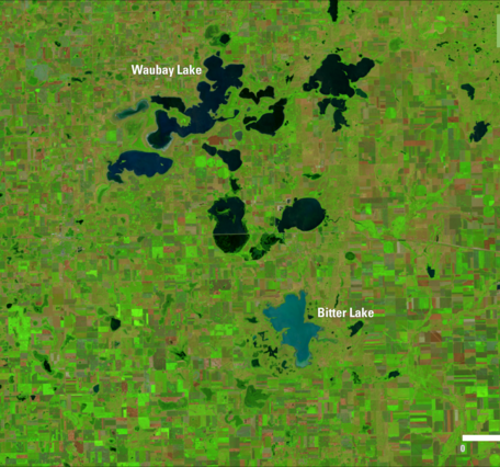 Satellite image with various shades of green, pink and blue with text labels in white