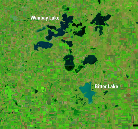 Satellite image with various shades of green, pink and blue with text labels in white