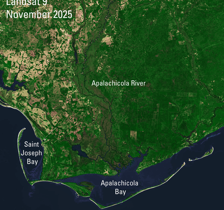 A satellite image of the Apalachicola River watershed and bay