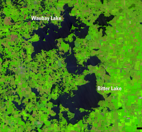 Satellite image with various shades of green, pink and blue with text labels in white