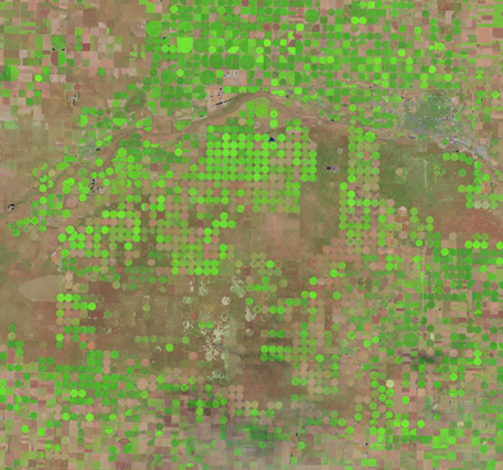 a Landsat satellite image showing center pivot irrigated fields in western Kansas