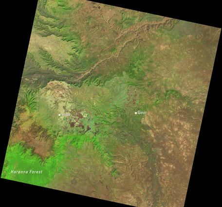 Satellite image of Ethiopia’s central highlands showing Robe, Ginir, and the Harenna Forest.