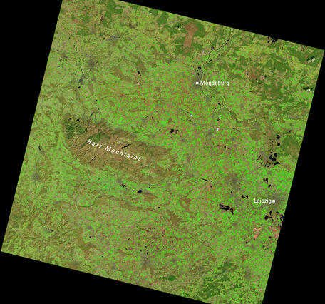 a satellite image showing shades of brown and green