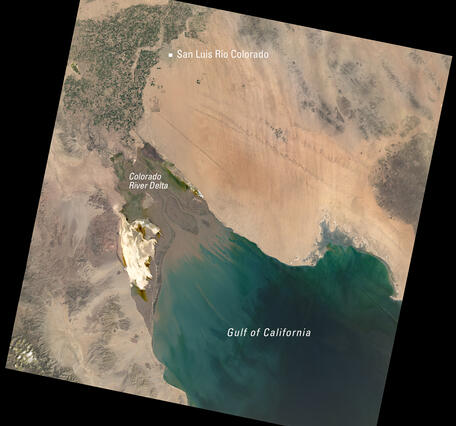 Satellite image of the Colorado River delta and the Gulf of California near San Luis Río Colorado, Mexico.