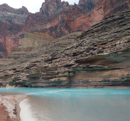 Researchers gather under a red umbrella & collect data on humpback chub at the blue Little Colorado River in Grand Canyon