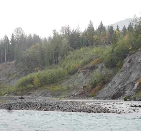Several landslides above a river